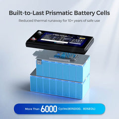 Renogy 48V 50Ah Smart Lithium Iron Phosphate Battery With Battery Monitor