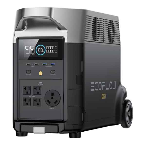 EcoFlow Delta Mini 882Wh Portable Power Station – Solar Paradise