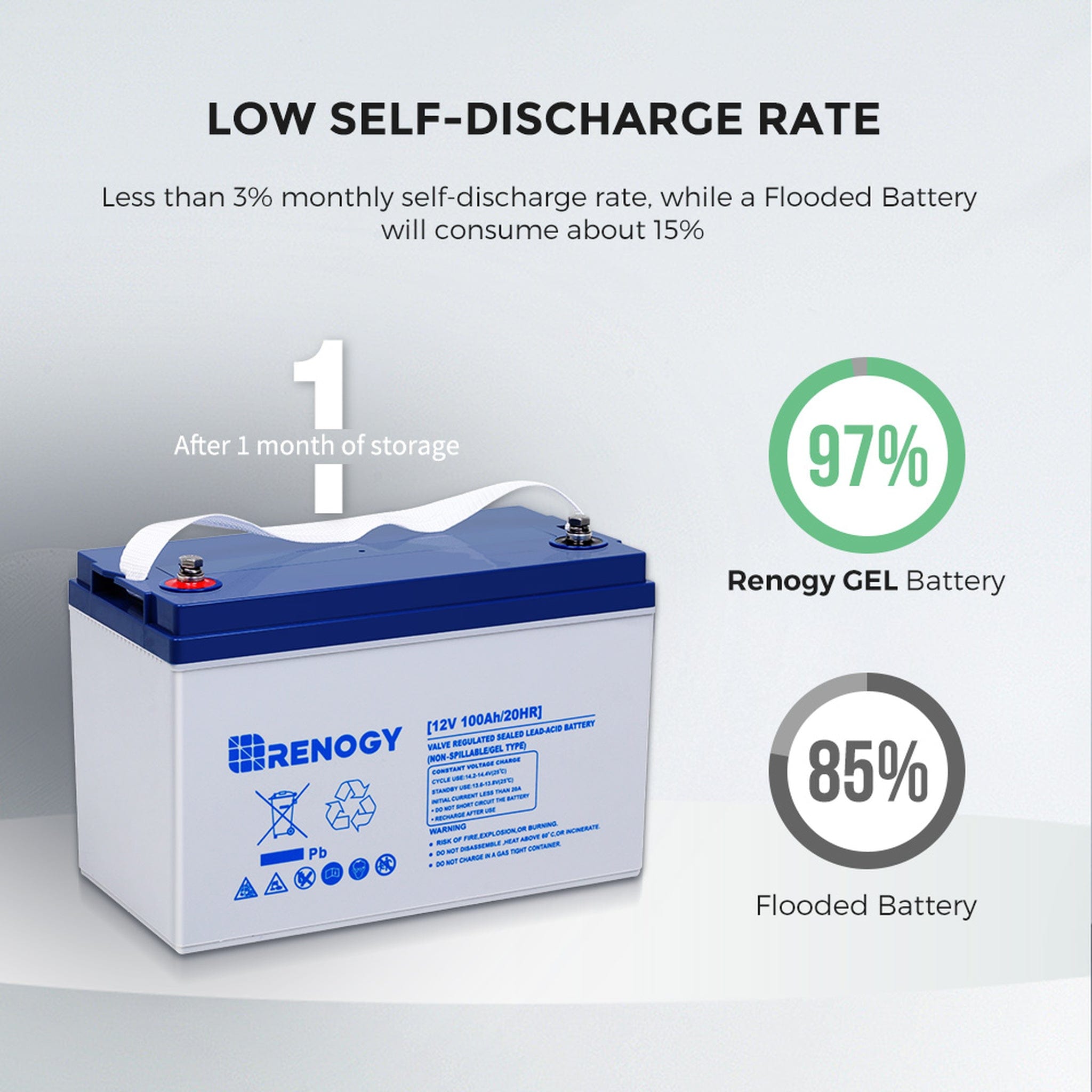 Renogy Deep Cycle AGM 12 Volt 100Ah Battery, 3% Self-Discharge Rate, 1100A  Max Discharge Current, Safe Charge Appliances for RV, Camping, Cabin