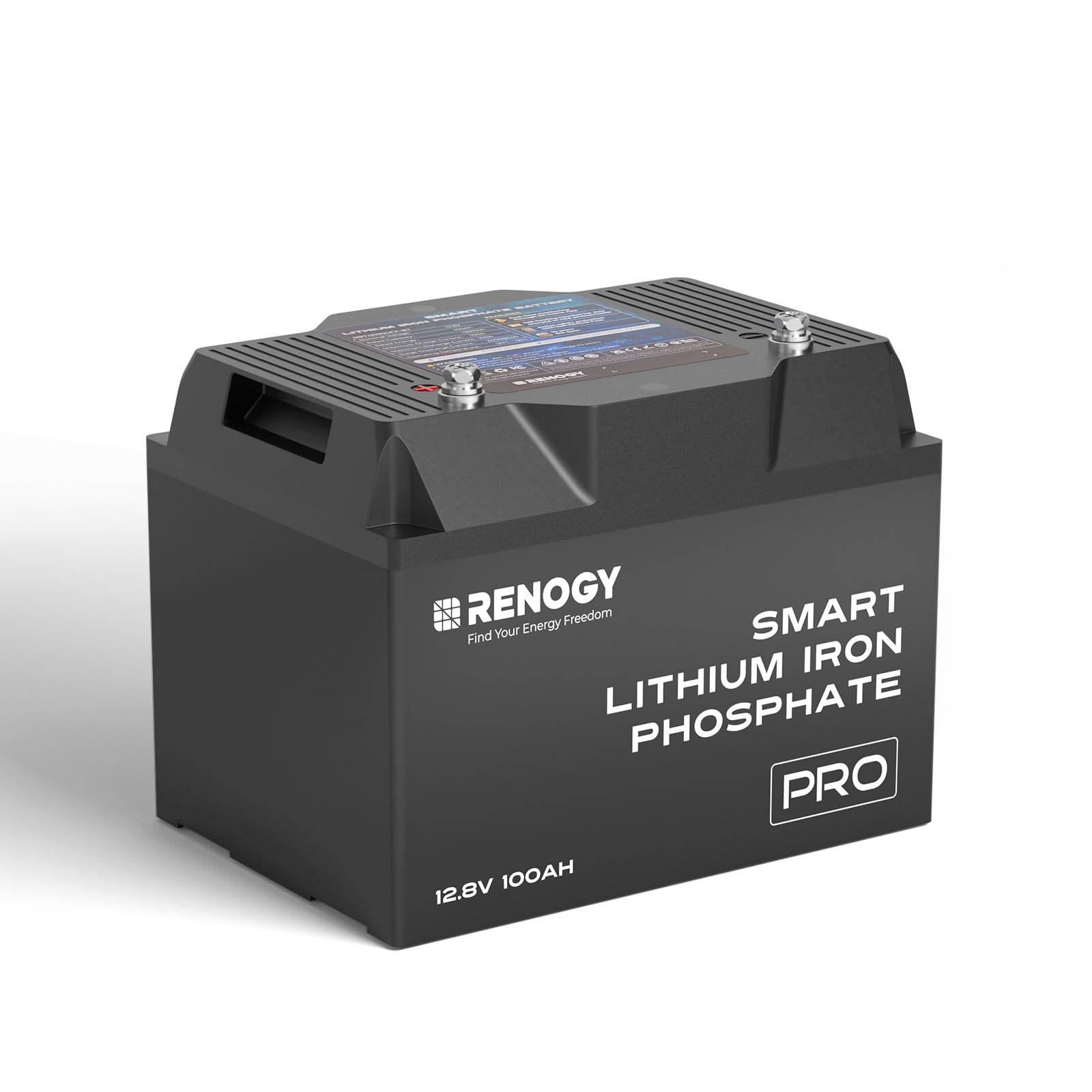Renogy 12V/100Ah Smart LiFePO4 Deep Cycle Battery