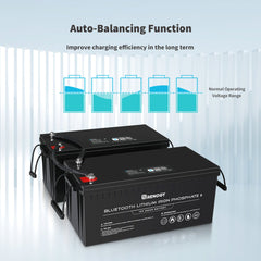 Renogy 12V/200Ah LiFePO4 Deep Cycle Battery With Bluetooth