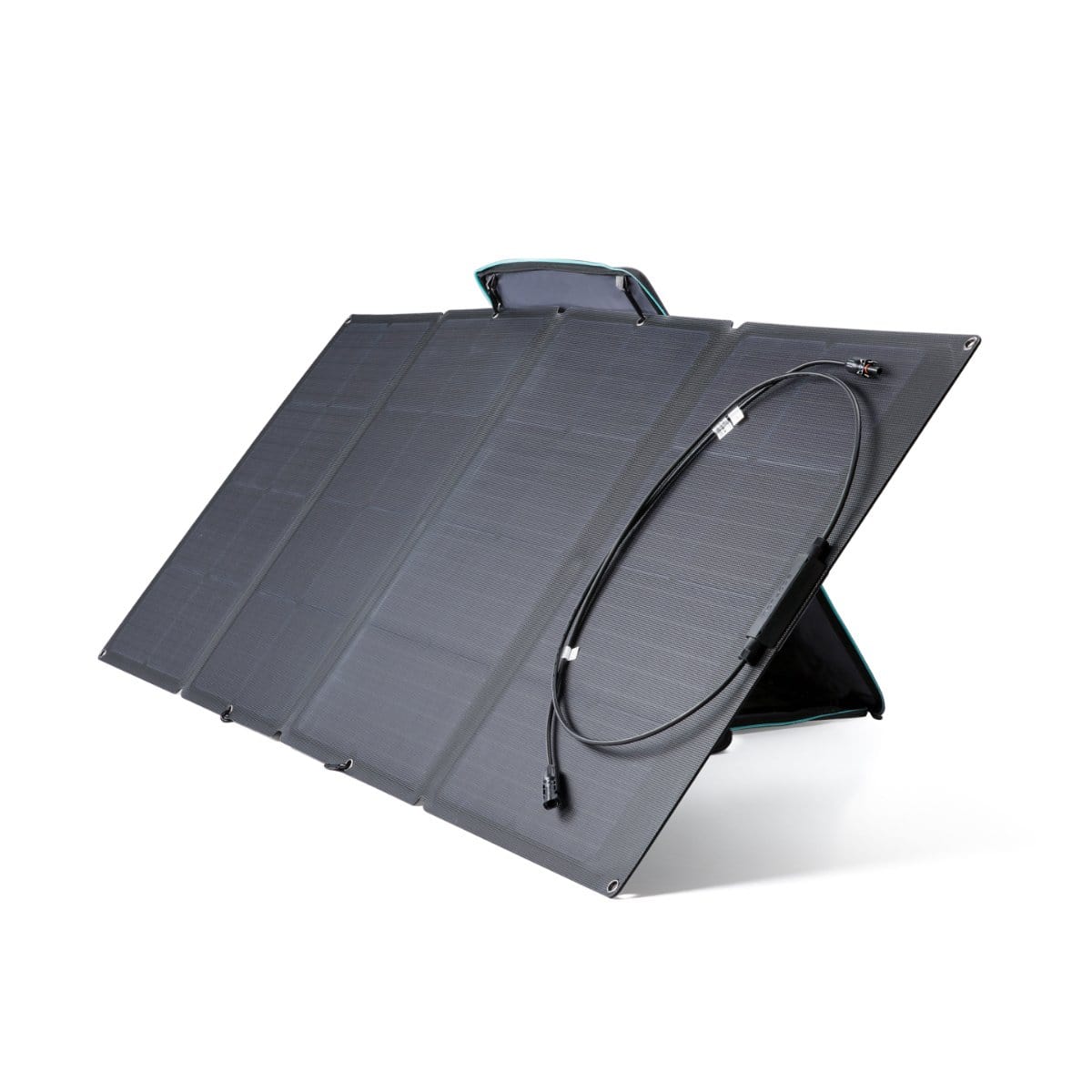 EcoFlow Delta 1300 + 2x 110W Solar Panel