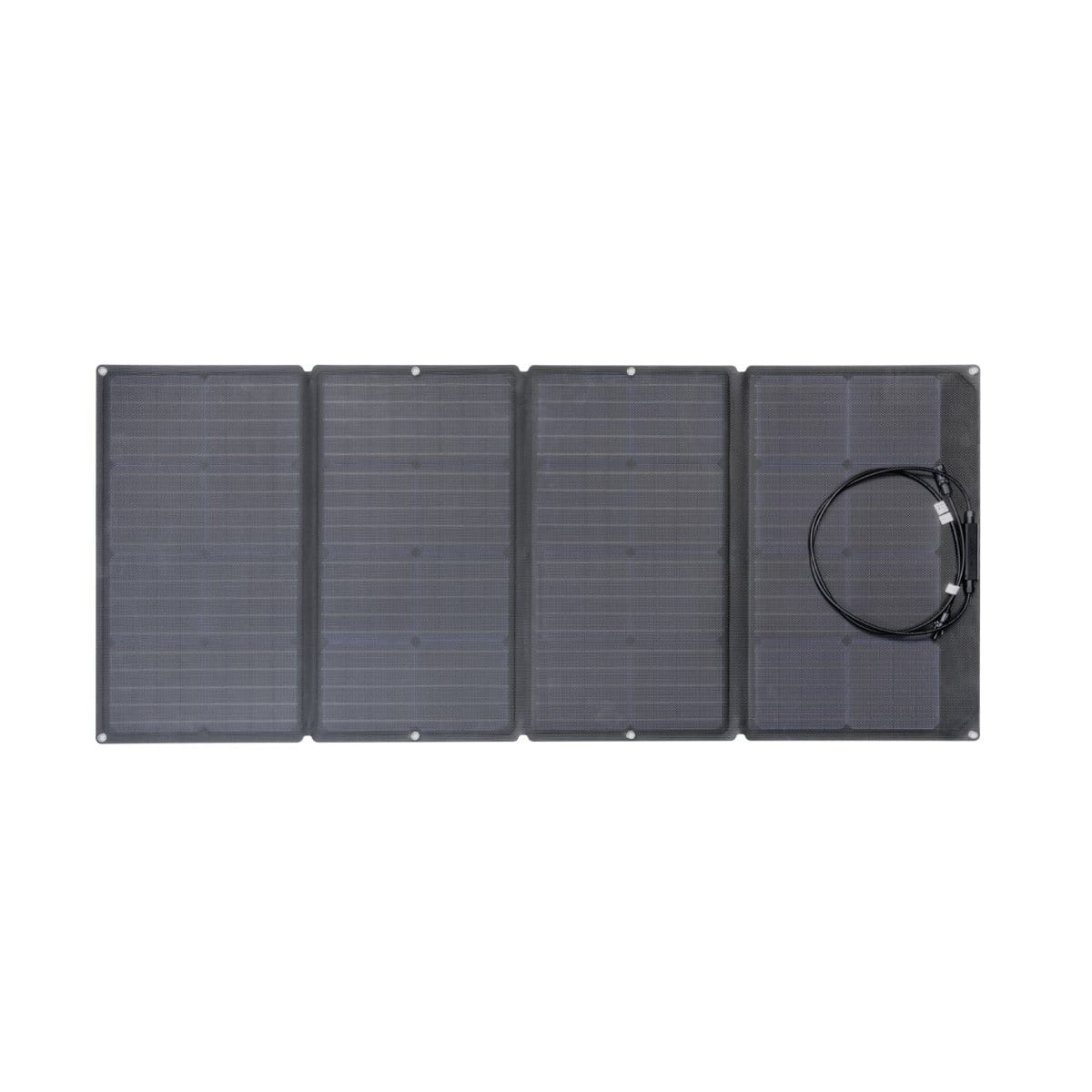 EcoFlow Delta 1300 + 2x 110W Solar Panel